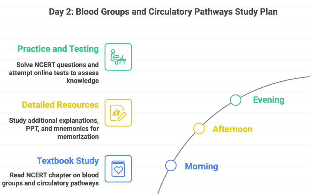 6 Days Study Plan: Body Fluids and Circulation | Biology Class 11 - NEET