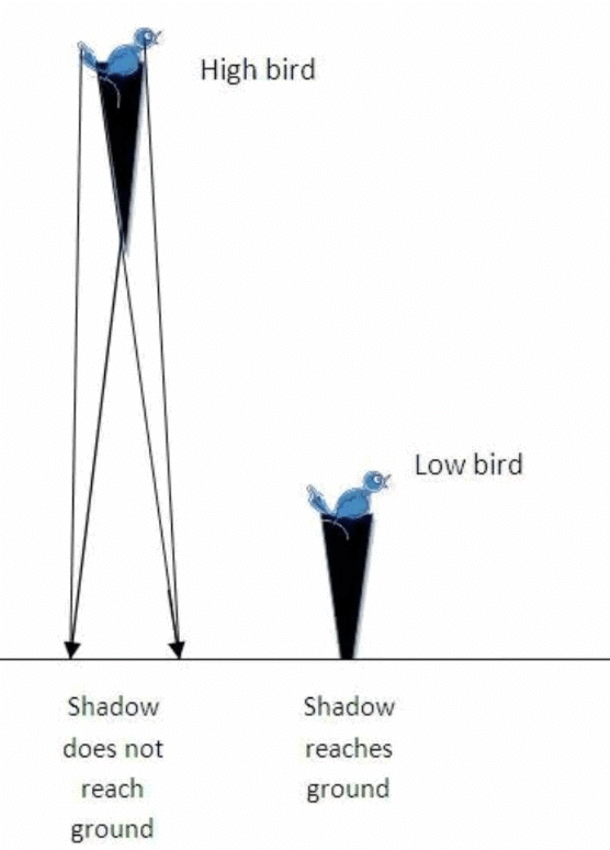 NCERT Solutions for Class 7 Science Chapter 11 Light: Shadows and Reflections