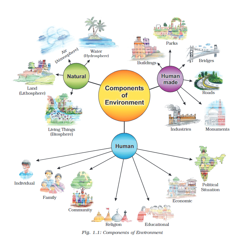 Environment Chapter Notes | Social Studies (SST) Class 7 (Old NCERT)