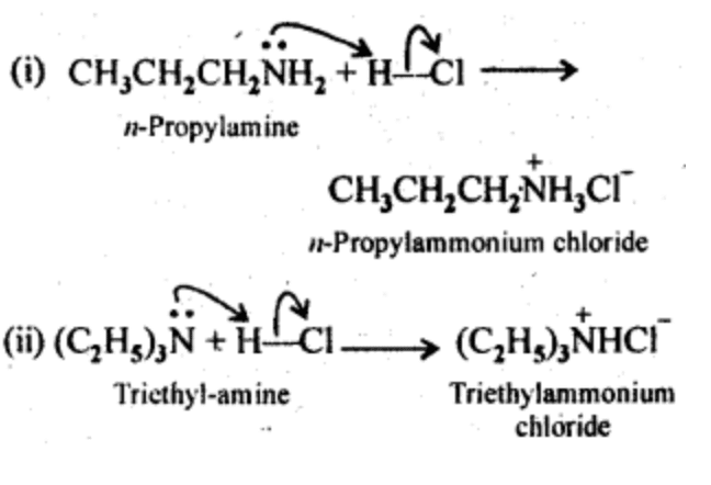 NCERT Solutions Class 12 Chemistry Chapter 9 - Amines