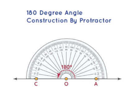 Worksheet Solutions: Lines and Angles | Mathematics (Maths) Class 6