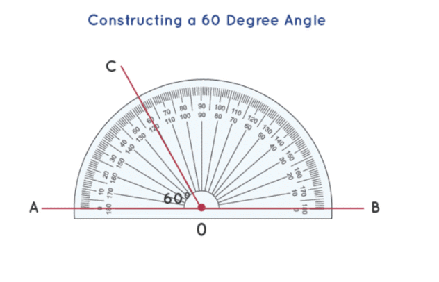 Worksheet Solutions: Lines and Angles | Mathematics (Maths) Class 6