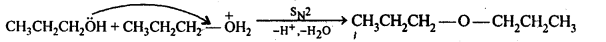 NCERT Solutions Class 12 Chemistry Chapter 7 - Alcohols, Phenols & Ethers