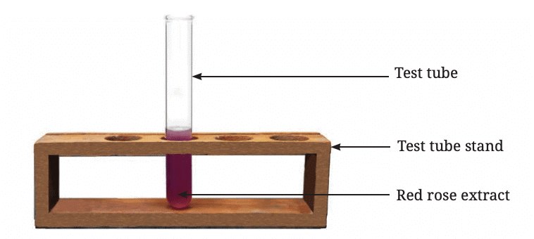 Exploring Substances: Acidic, Basic and Neutral Class 7 Notes Science Chapter 2 Free PDF