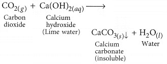 Class 10 Science Chapter 2 Question Answers - Acids, Bases and Salts