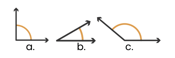 Worksheet Solutions: Lines and Angles | Mathematics (Maths) Class 6