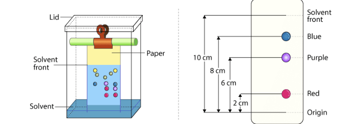 Revision Notes: Purification and Characterisation of Organic Compounds | Chemistry Class 12 - NEET