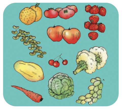 Food for Health Class 4 Notes EVS Chapter 5 Free PDF