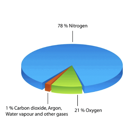 Class 6 Geography Chapter 5 Notes - Major Domains of the Earth