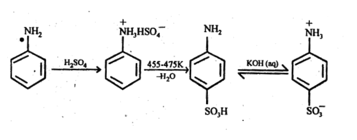 NCERT Solutions Class 12 Chemistry Chapter 9 - Amines
