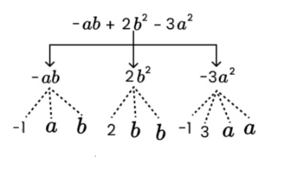 NCERT Solutions for Class 7 Maths - Algebraic Expressions- 1