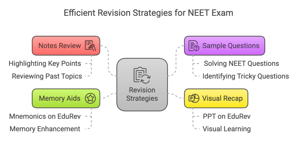 4 Days Study Plan: Excretory Products and their Elimination | Biology Class 11 - NEET