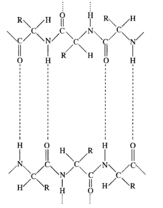 NCERT Solutions Class 11 Biology Chapter 9 - Biomolecules