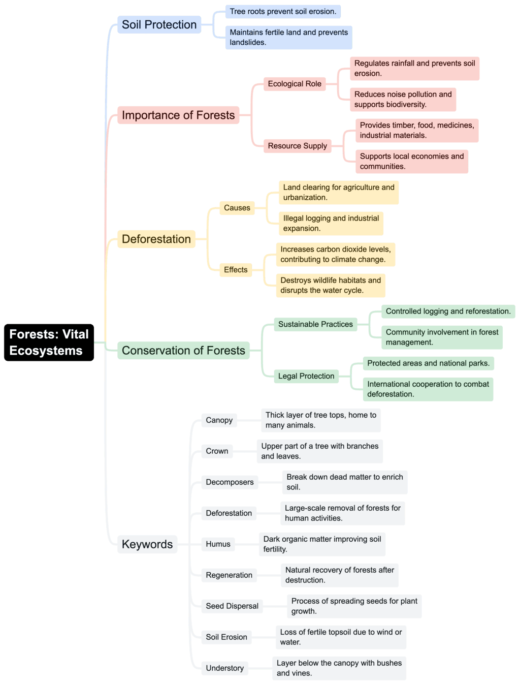 Mindmap: Forest - Our Lifeline | Science Class 7 (Old NCERT)