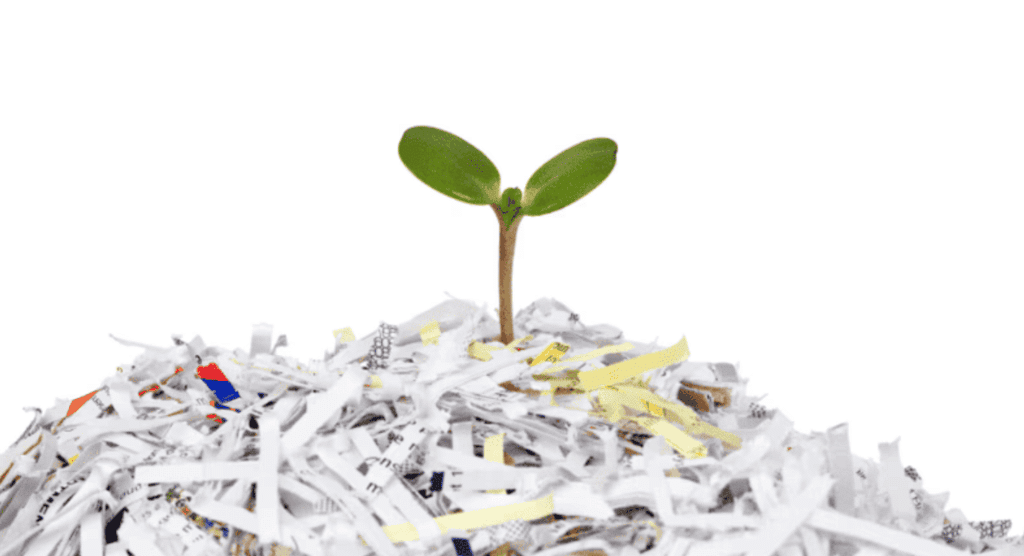 Economic Activities Around Us Chapter Notes | Social Studies (SST) Class 6