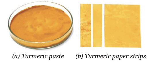 Exploring Substances: Acidic, Basic and Neutral Class 7 Notes Science Chapter 2 Free PDF