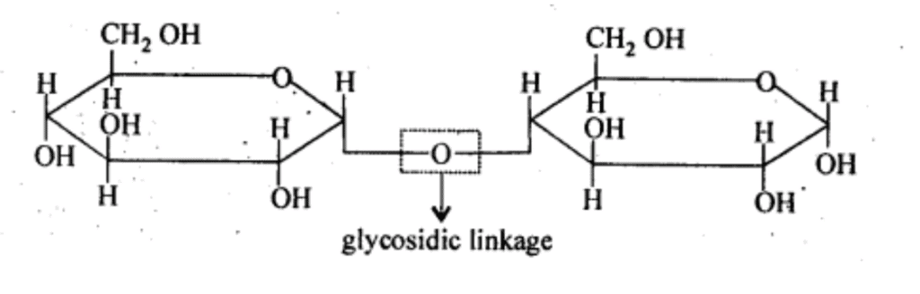 NCERT Solutions Class 11 Biology Chapter 9 - Biomolecules