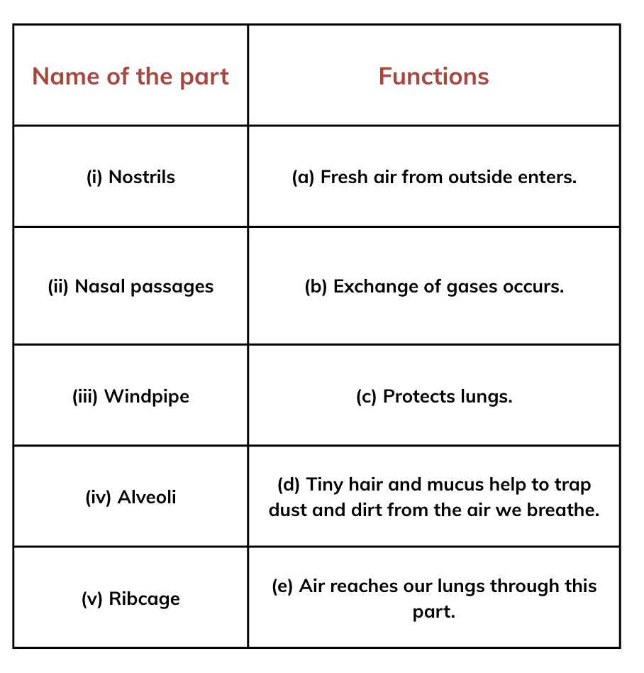 NCERT Solutions for Class 7 Science Chapter 9 Life Processes in Animals