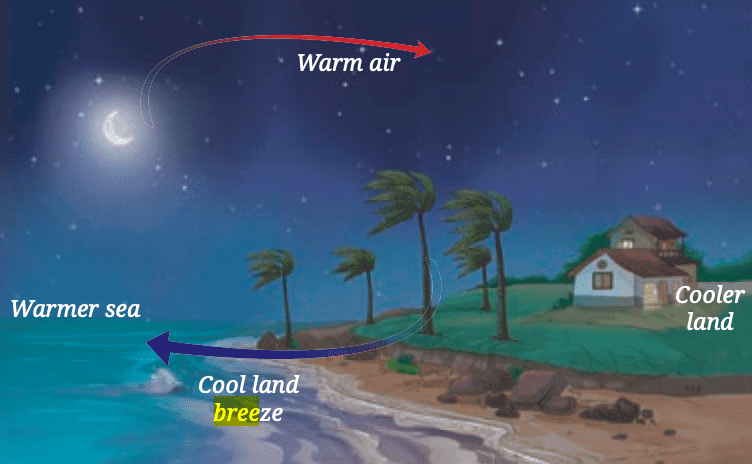 NCERT Solutions for Class 7 Science Chapter 7 Heat Transfer in Nature