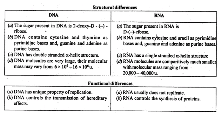NCERT Solutions Class 11 Biology Chapter 9 - Biomolecules