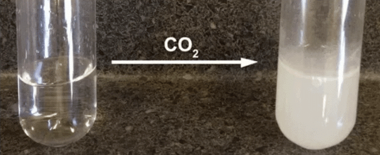 NCERT Solutions for Class 7 Science Chapter 5 Changes Around Us: Physical and Chemical