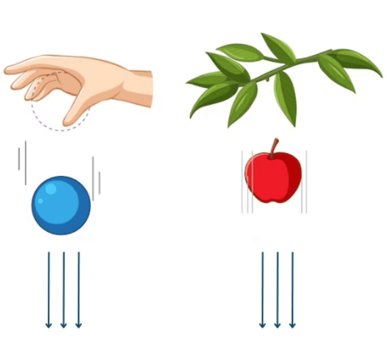Force and Pressure Class 8 Notes Science Chapter 8