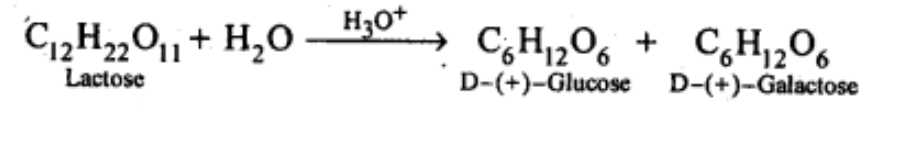 NCERT Solutions Class 11 Biology Chapter 9 - Biomolecules