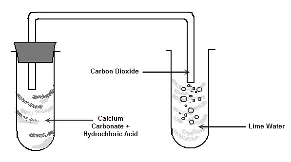 Class 10 Science Chapter 2 Question Answers - Acids, Bases and Salts