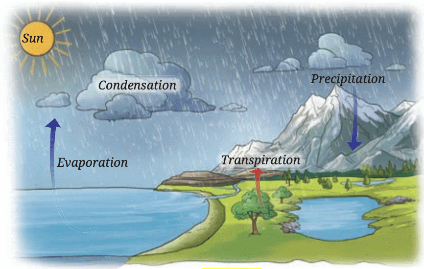 NCERT Solutions for Class 7 Science Chapter 7 Heat Transfer in Nature