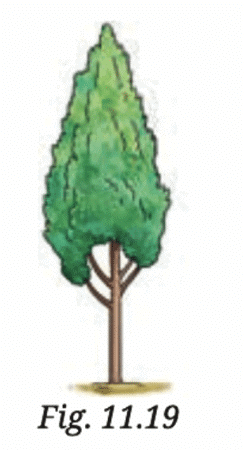 NCERT Solutions for Class 7 Science Chapter 11 Light: Shadows and Reflections