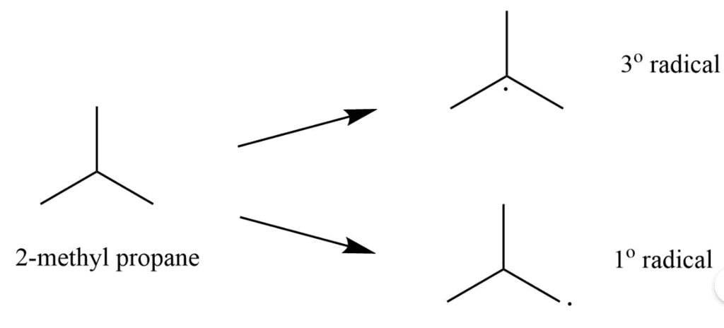 NCERT Exemplar: Hydrocarbons | Chemistry Class 11 - NEET