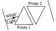 Diagram Based Questions: The Human Eye and the Colourful World | Science Class 10