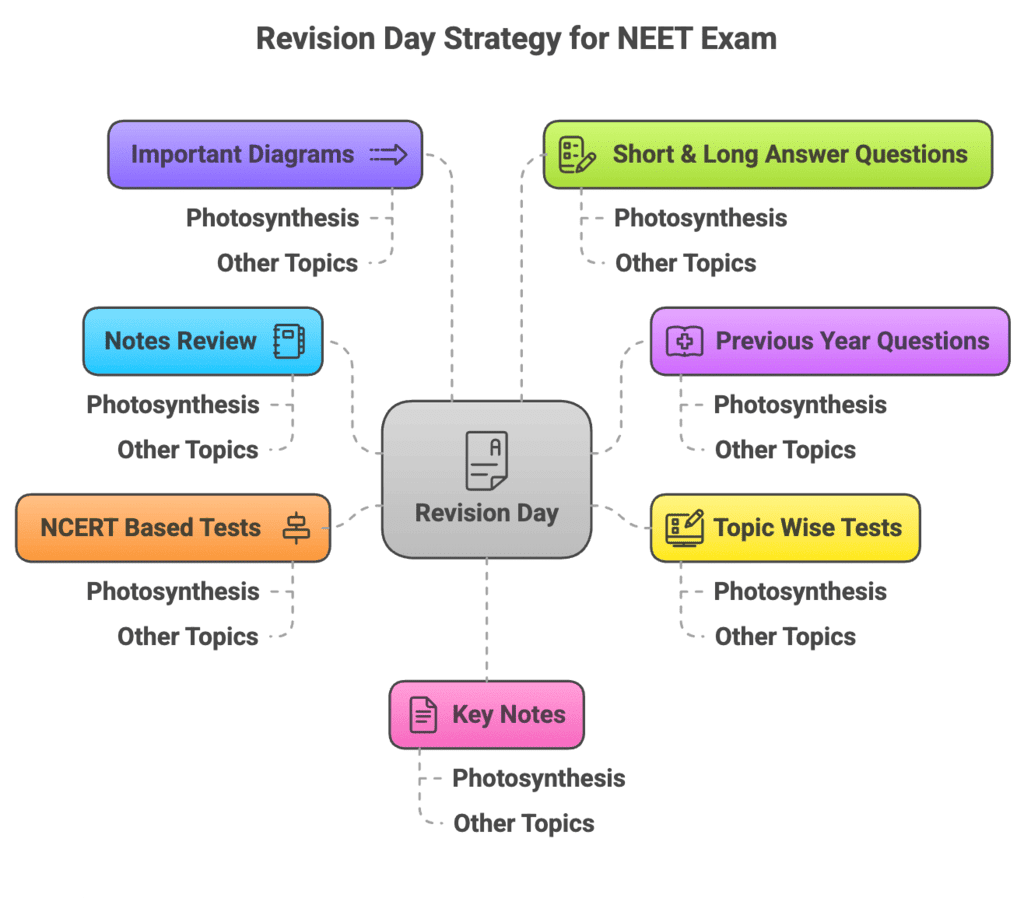 How to Master Photosynthesis in Higher Plants for NEET? | Biology Class 11