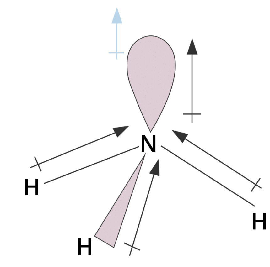 Worksheet with Solutions: Chemical Bonding and Molecular Structure | Chemistry Class 11 - NEET