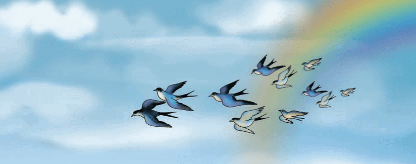 Our Sky Class 4 Notes EVS Chapter 10 Free PDF
