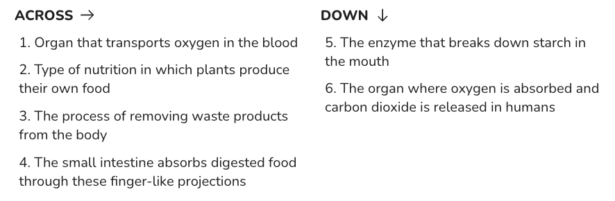 Assignment: Life Processes | Science Class 10