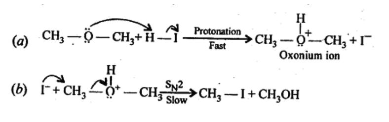 NCERT Solutions Class 12 Chemistry Chapter 7 - Alcohols, Phenols & Ethers