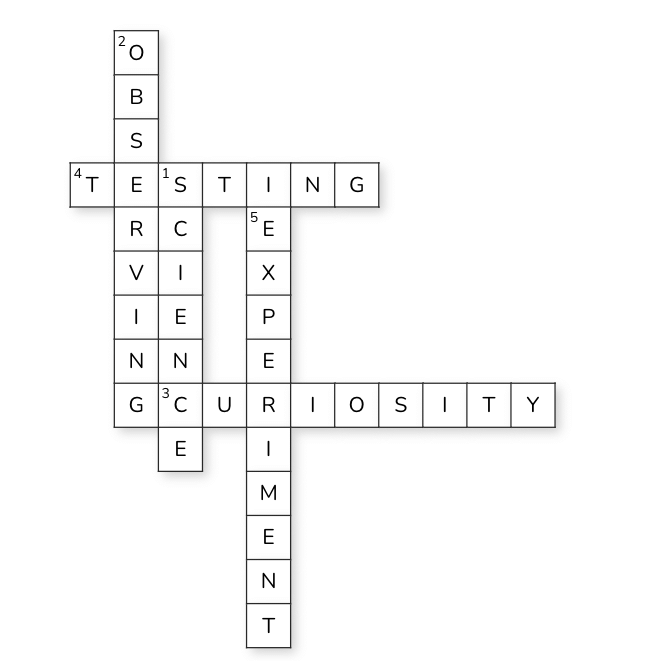 Assignment: The Wonderful World of Science | Science for Class 6