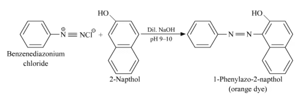 NCERT Solutions Class 12 Chemistry Chapter 9 - Amines