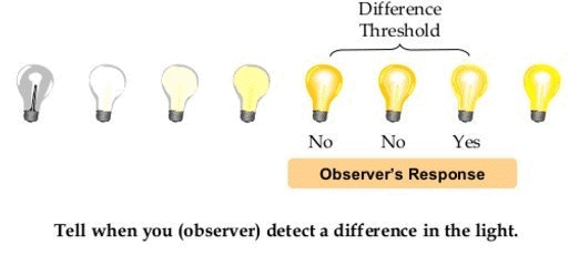Assignment: Sensory, Attentional, and Perceptual Processes | Psychology Class 11 - Humanities/Arts