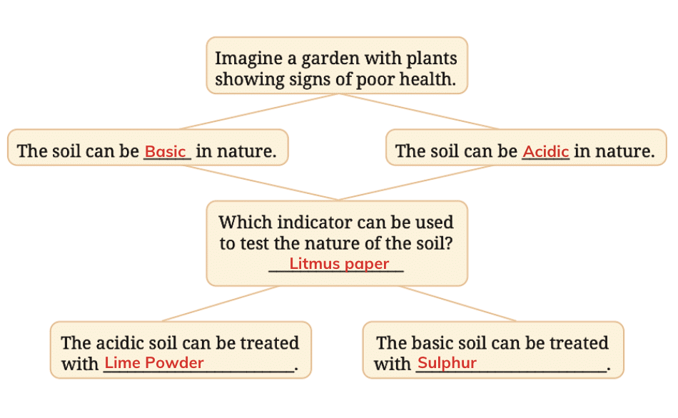 NCERT Solutions for Class 7 Science Chapter 2 Exploring Substances: Acidic, Basic and Neutral
