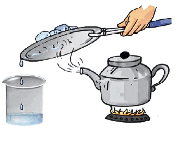 NCERT Solutions for Class 7 Science Chapter 5 Changes Around Us: Physical and Chemical