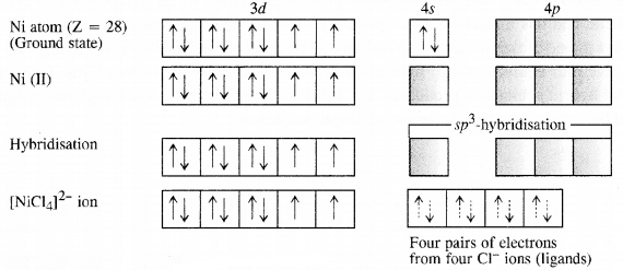 NCERT Solutions Class 12 Chemistry Chapter 5 - Coordination Compounds