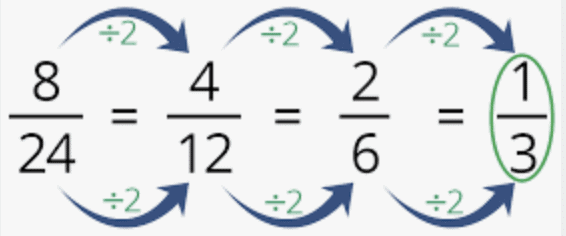 Fractions Summary Class 6 Maths Chapter 7