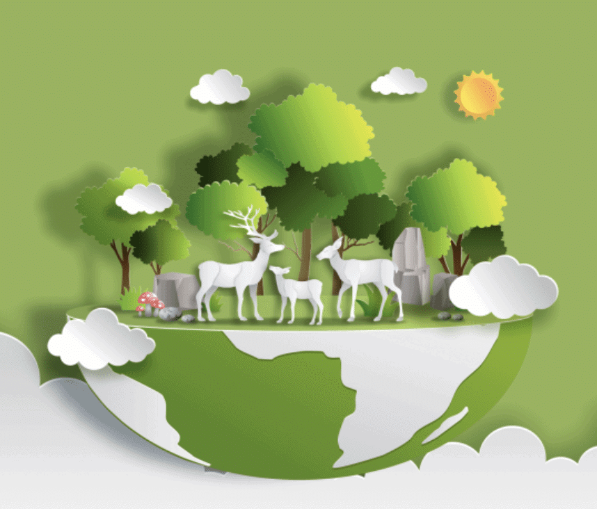 Revision Notes: The Living World | Biology Class 11 - NEET