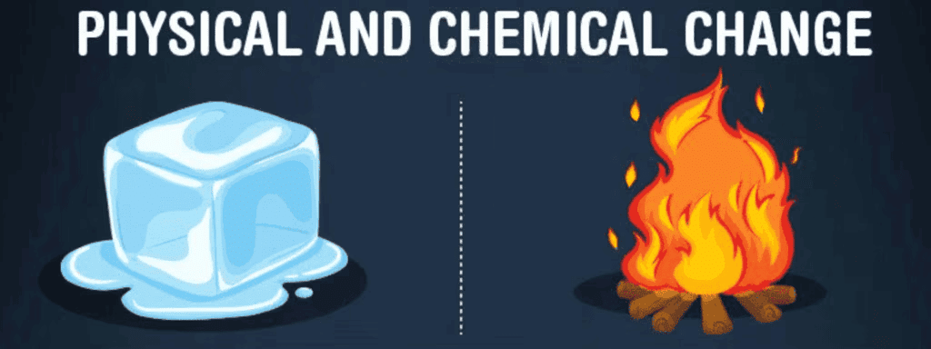 NCERT Solutions for Class 7 Science - Physical and Chemical Changes