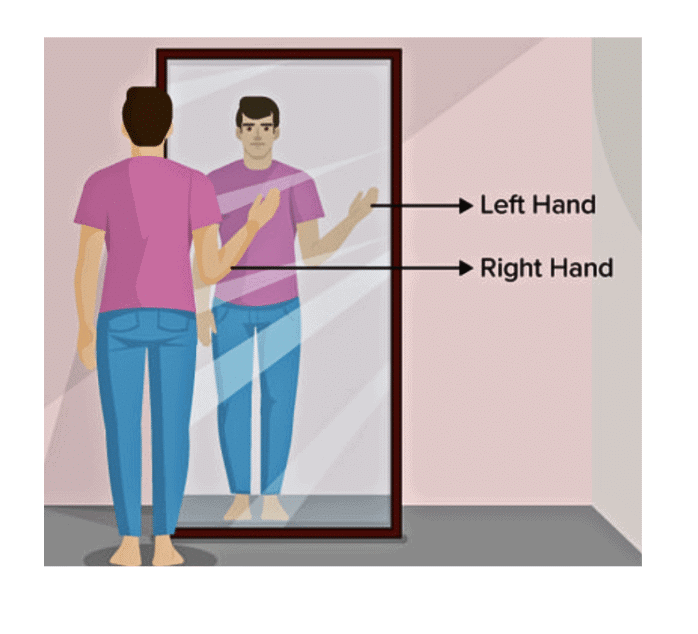 NCERT Solutions for Class 7 Science Chapter 11 Light: Shadows and Reflections
