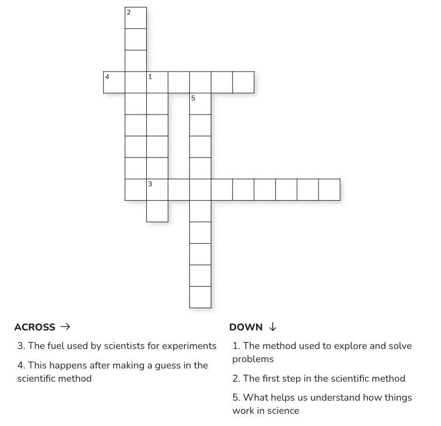 Assignment: The Wonderful World of Science | Science for Class 6