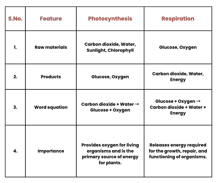 NCERT Solutions for Class 7 Science Chapter 10 Life Processes in Plants
