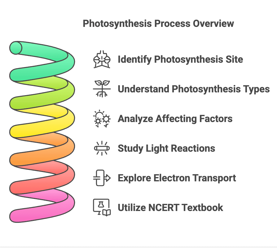 How to Master Photosynthesis in Higher Plants for NEET? | Biology Class 11